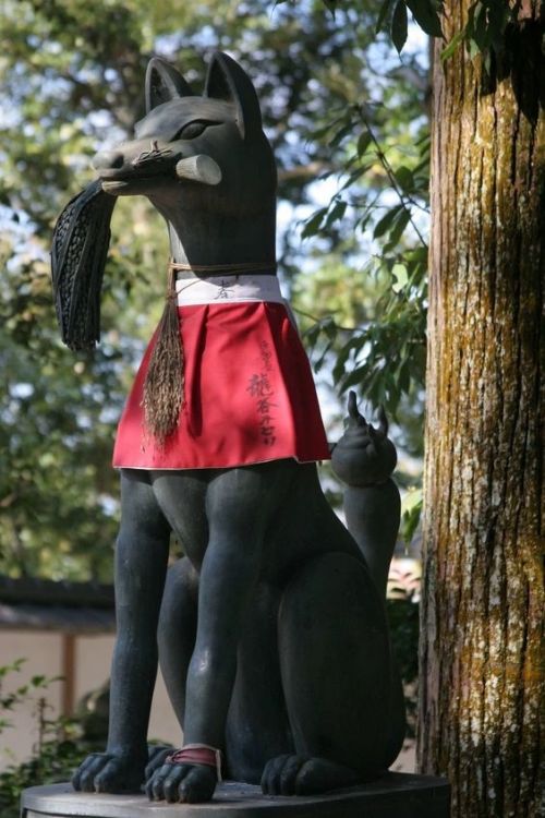 Cửu Vỹ Kurama trong Naruto.