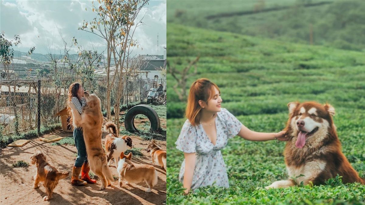 Chụp ảnh che mặt chất với thú cưng siêu đẹp