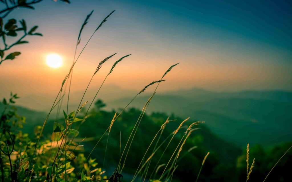 hình ảnh về cảnh đẹp thiên nhiên