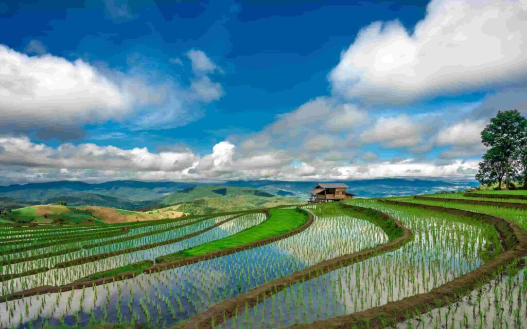 ảnh đẹp thiên nhiên mùa xuân