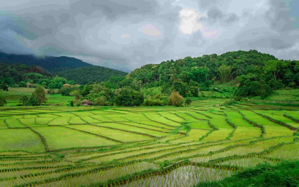 ảnh thiên nhiên đẹp 4k