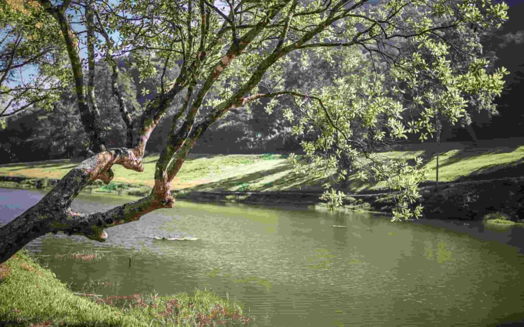 ảnh thiên nhiên đẹp buồn