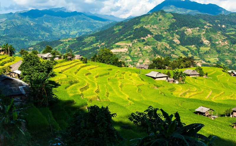 canh-dong-lua-chin-o-ha-giang-03