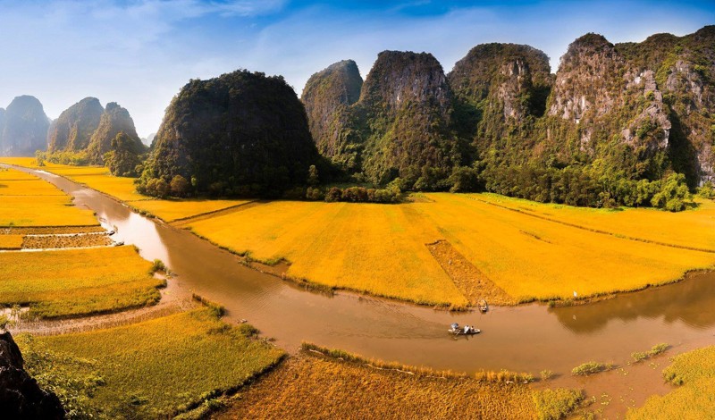 canh-dong-lua-chin-o-ninh-binh-01