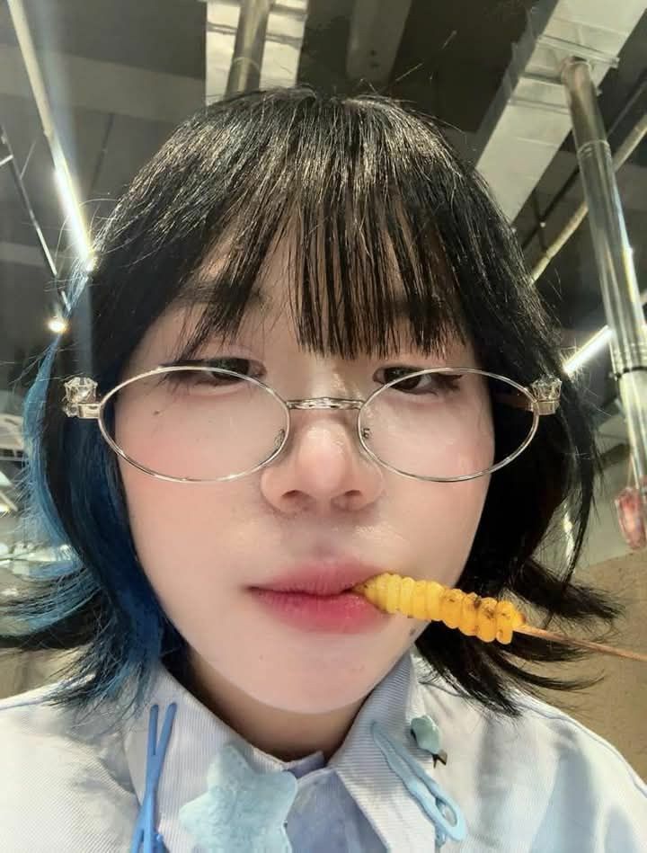 Mèo Simmy là ai mà được mệnh danh công chúa dễ thương