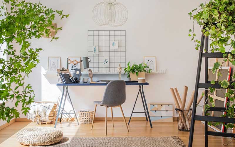 góc học tập chill - noithathoaphat.info.vn