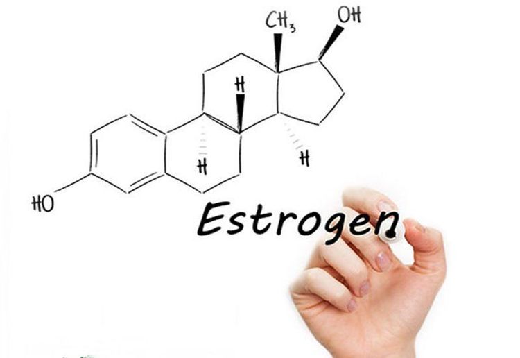 Estrogen là thành phần chính có trong nội tiết tố nữ