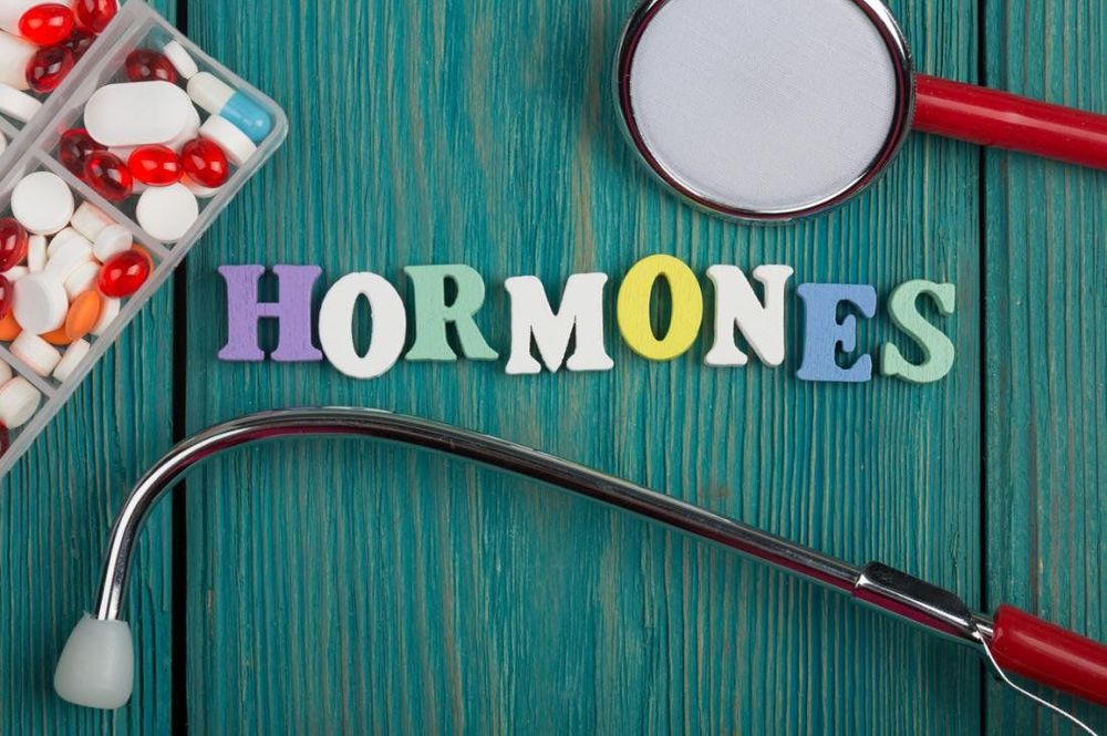 Hormonesinh dục có vai trò quan trọng trong việc cân bằng nội tiết tố