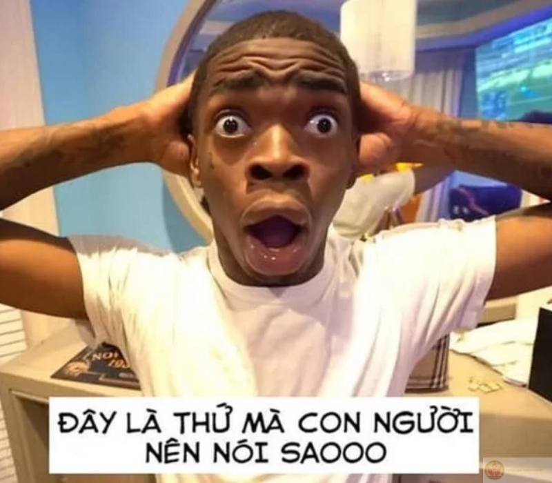 Meme ngạc nhiên hài hước khó đỡ