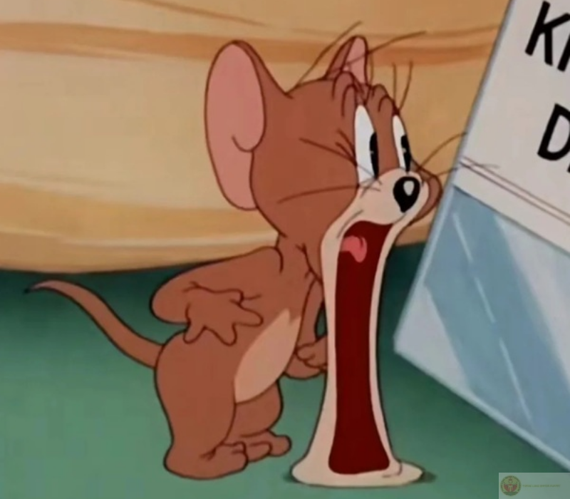 Tôi khi khi gặp người nổi tiếng đi dạo ngay trên phố quen thuộc