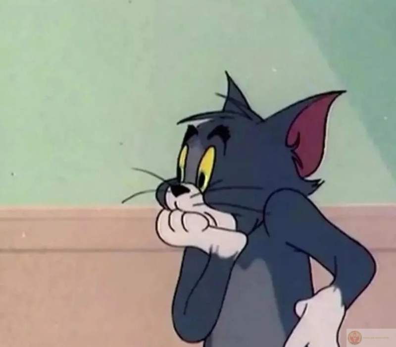 Meme mèo ngạc nhiên không thốt nên lời