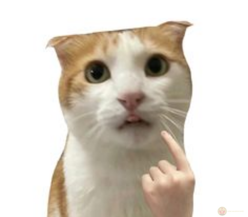 Meme chỉ tay được dân mạng chế hài hước