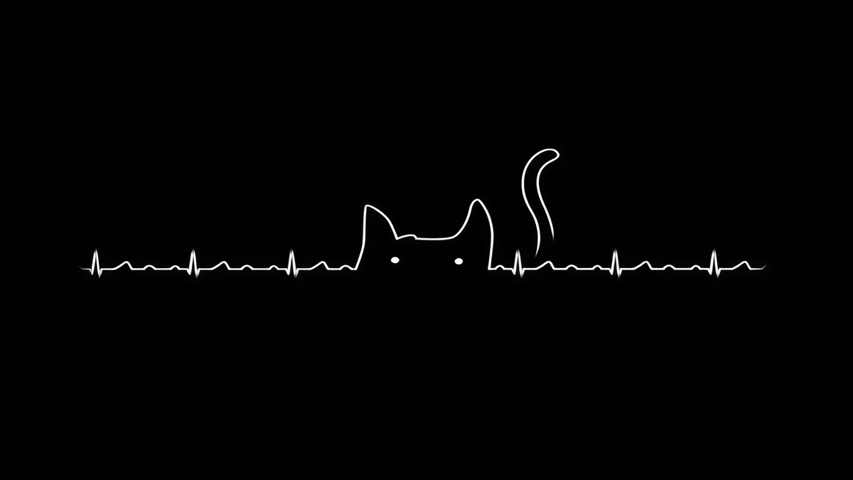 Background cute màu đen huyền bí đơn giản