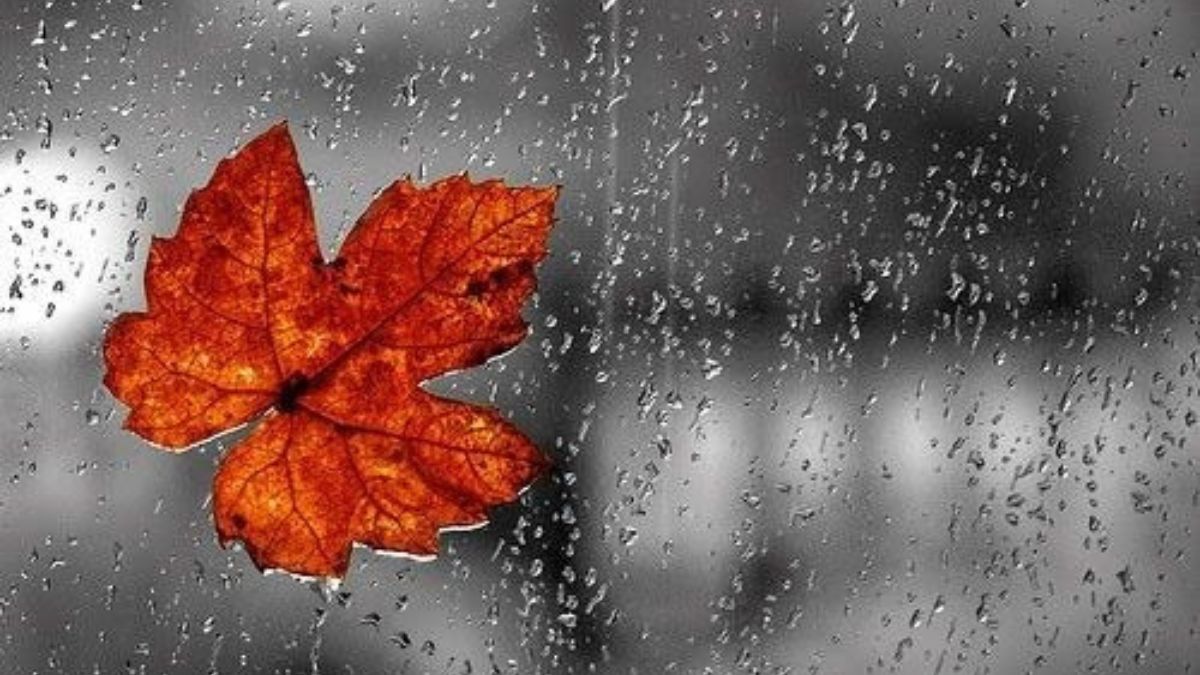 STT mưa buồn và tâm trạng khi yêu xa