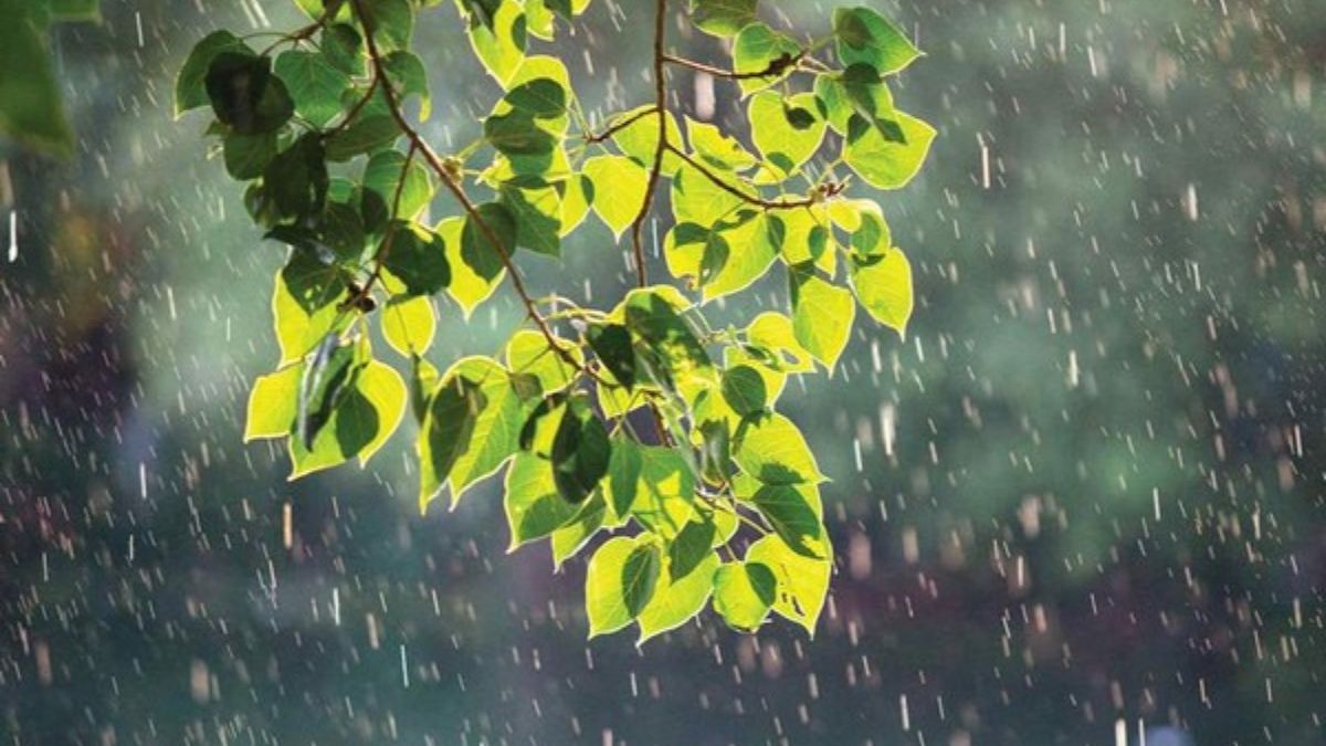 STT mưa buồn để sống ảo