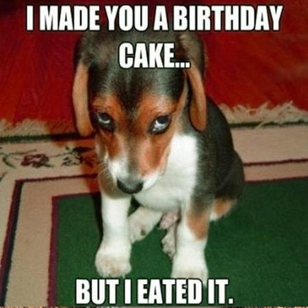 Lời chúc sinh nhật bạn thân lầy lội