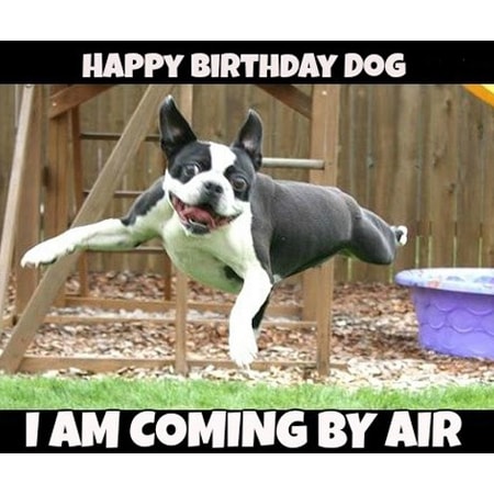 Lời chúc sinh nhật bạn thân lầy lội