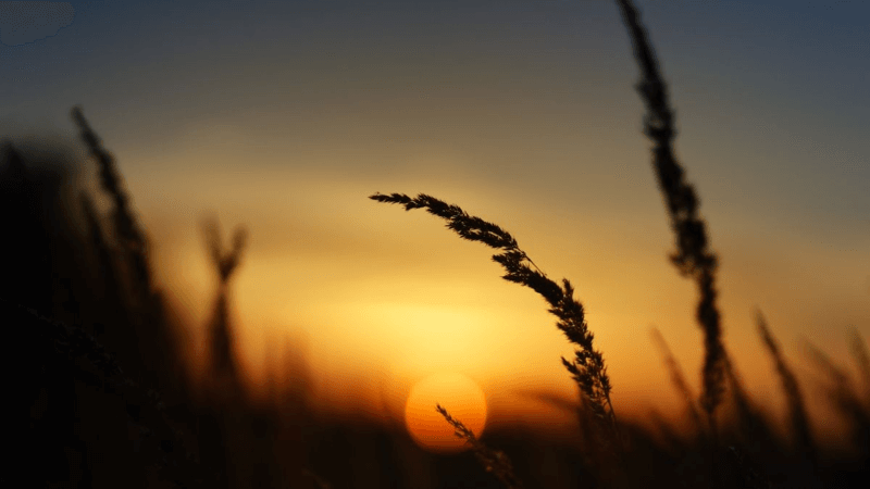 Hình ảnh hoàng hôn, phong cảnh cô đơn 