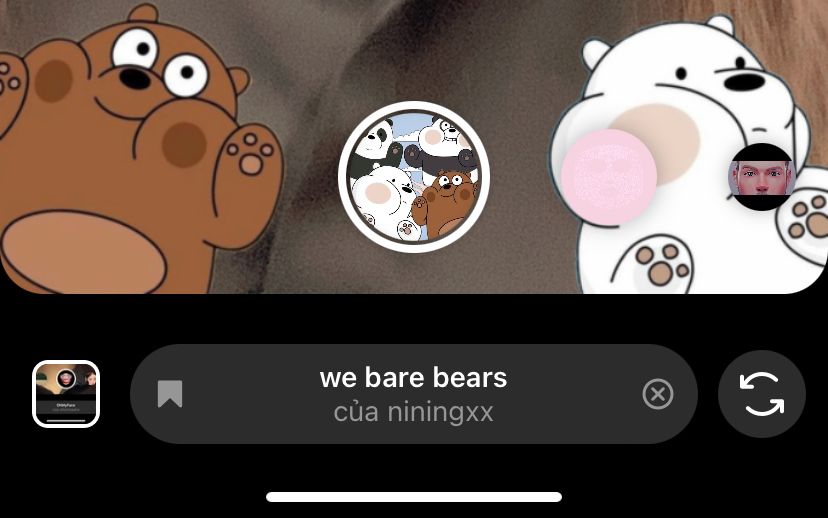 GEARVN - Filter instagram con vật