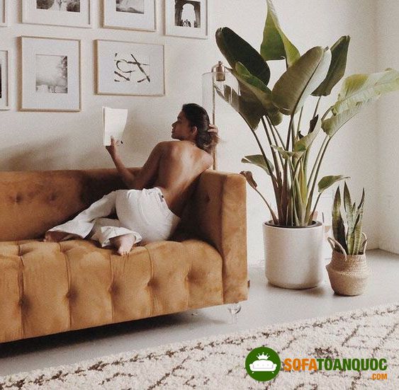 cách tạo dáng chụp ảnh ngồi ghế sofa
