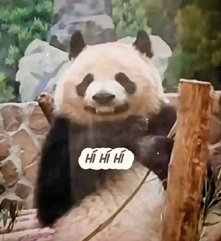 Đôi lúc cần im lặng để cảm xúc tự lành lại