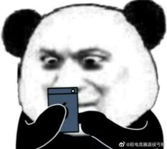 Gấu trúc không đánh, nhưng ánh nhìn mang tính đe dọa