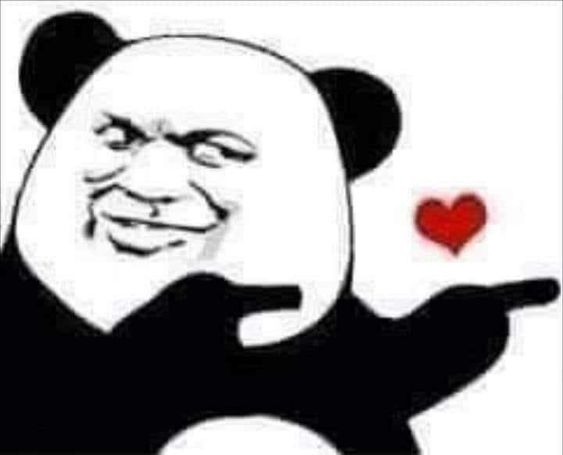 Gấu trúc rất nhịn, nhưng đến giới hạn thì khác