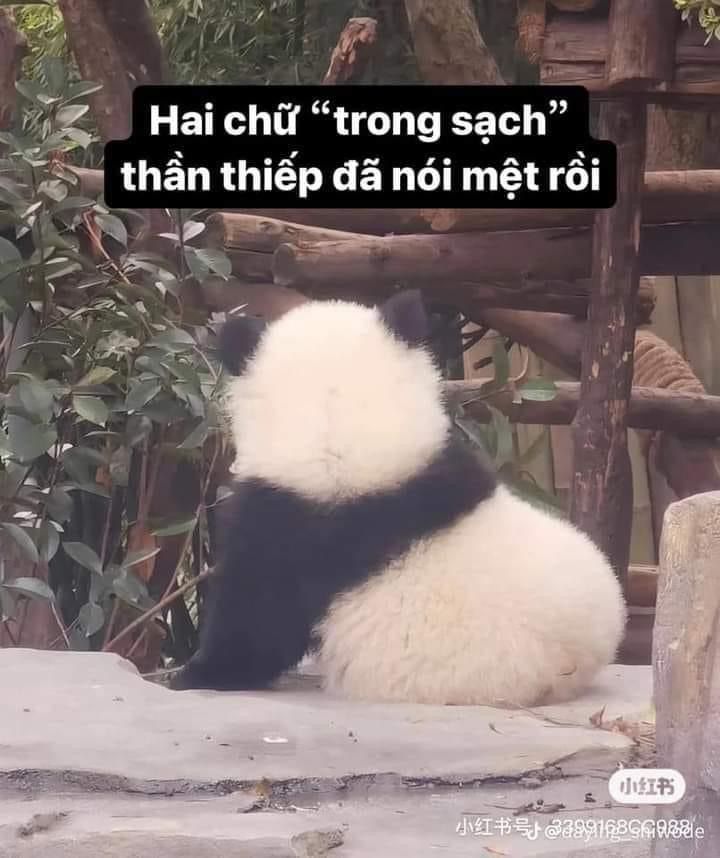 Một cái ôm nhẹ nhàng còn hơn ngàn lời xin lỗi