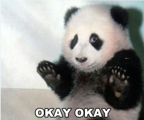 Một chút dịu dàng mỗi ngày làm gấu dễ thương hơn