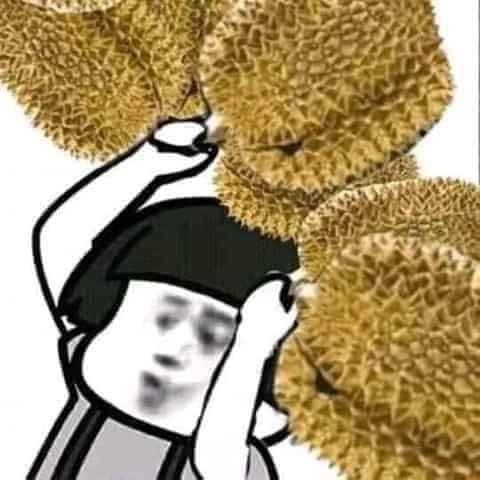 Meme gấu trúc gốc