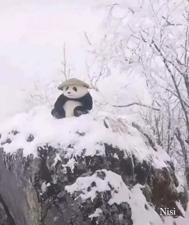 Nếu không thể yêu thương, xin đừng làm tổn thương