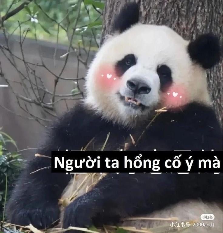 Người ta hổng cố ý mà