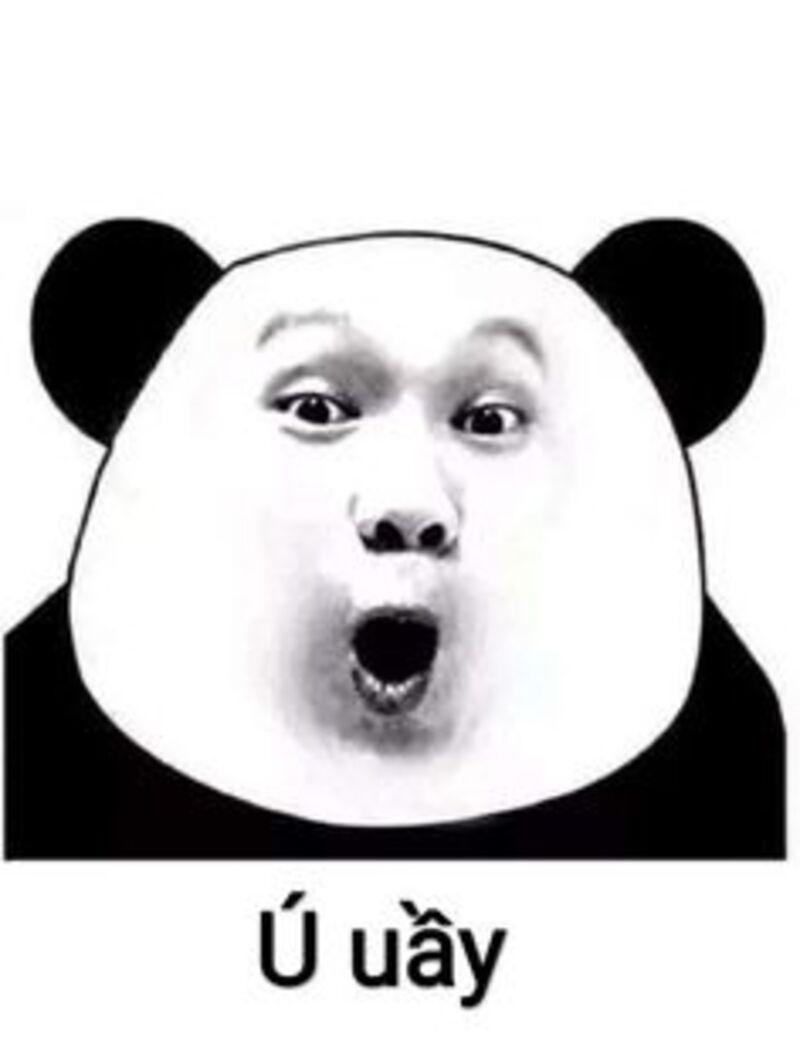 Tui có đáng yêu không, hay chỉ đáng nghi?