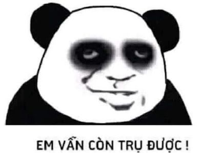 Đừng nhắc deadline nữa, tui chưa kịp vui đâu mà