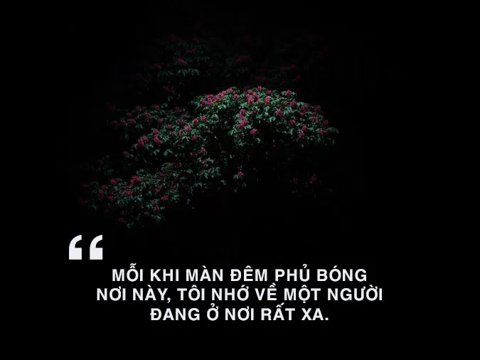 Status buồn về đêm 7