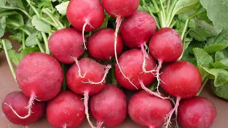 Tổng hợp 10 cách giúp lông mày rậm chỉ sau 1 tuần 5