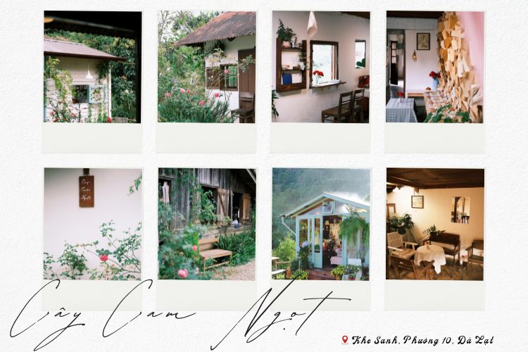 cafe Đà Lạt
