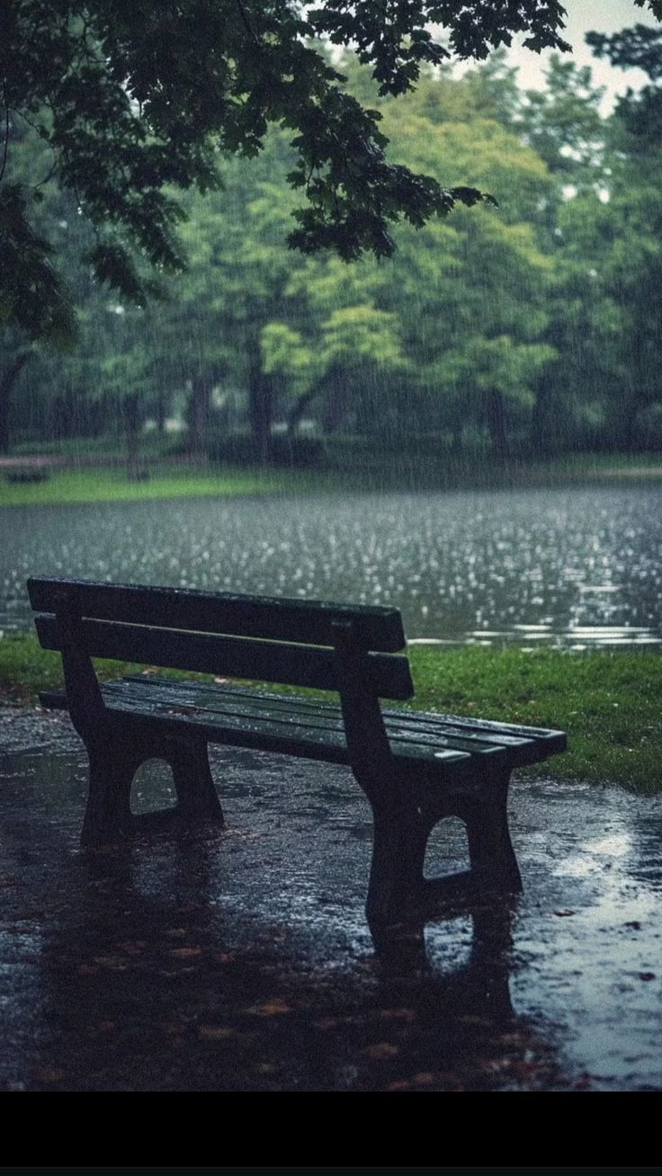 Hình ảnh mưa buồn đẹp lãng mạn nhất