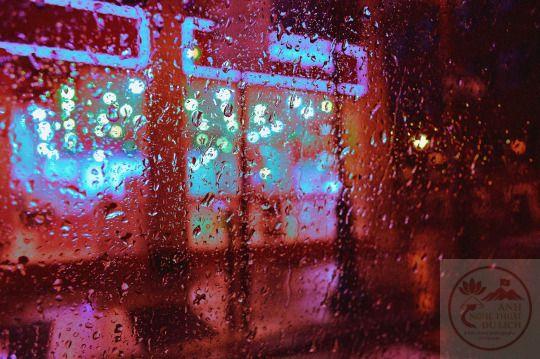 Cảnh phố ướt át trong mưa khơi dậy sự thư giãn cho người xem