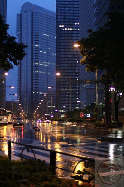 Những con phố trong mưa mang đến cảm giác quen thuộc và đầy chất thơ