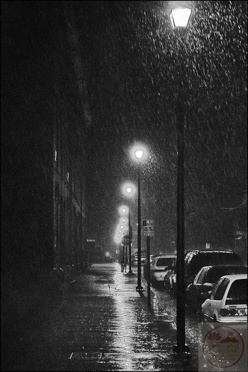 Giọt mưa trắng đen làm khung cảnh hiện ra mộc mạc và gần gũi