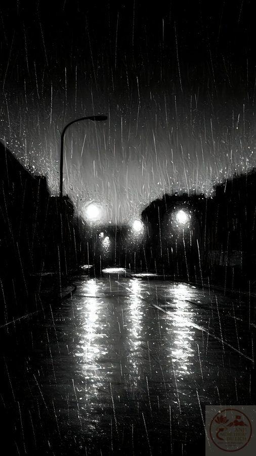 Mưa đêm Hà Nội làm ta nhận ra sự gắn bó giữa ký ức và hiện tại