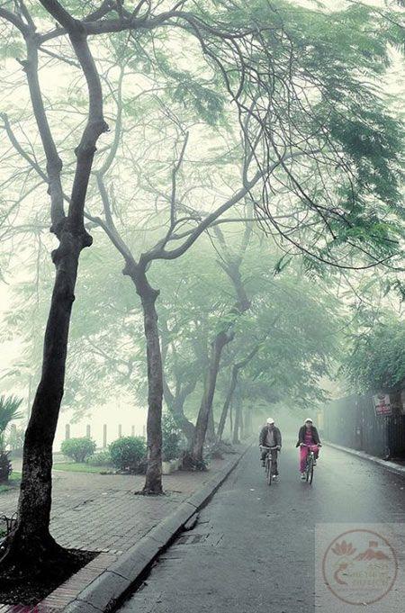 Mưa Huế mang theo vẻ đẹp dịu dàng và lãng mạn rất riêng biệt