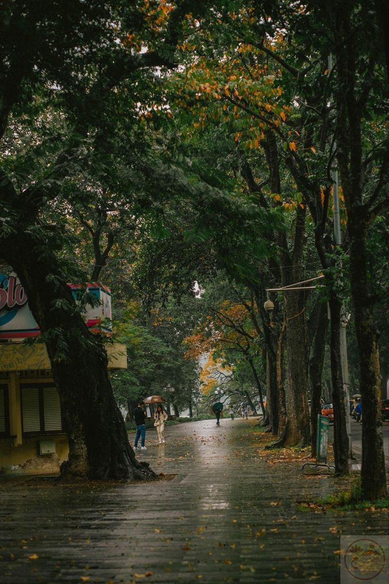 Cảnh mưa Huế làm hiện rõ sự trữ tình và nét đẹp mộc mạc thân quen