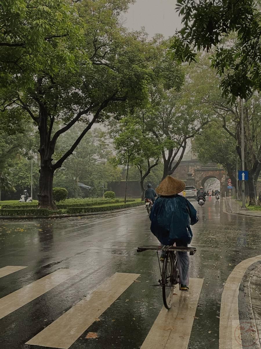 Mưa Huế mang lại cho người ta cảm giác chậm rãi và đầy chất thơ