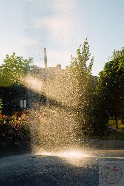 Những khoảnh khắc mưa mùa hè để lại ấn tượng đầy sức trẻ và lạc quan