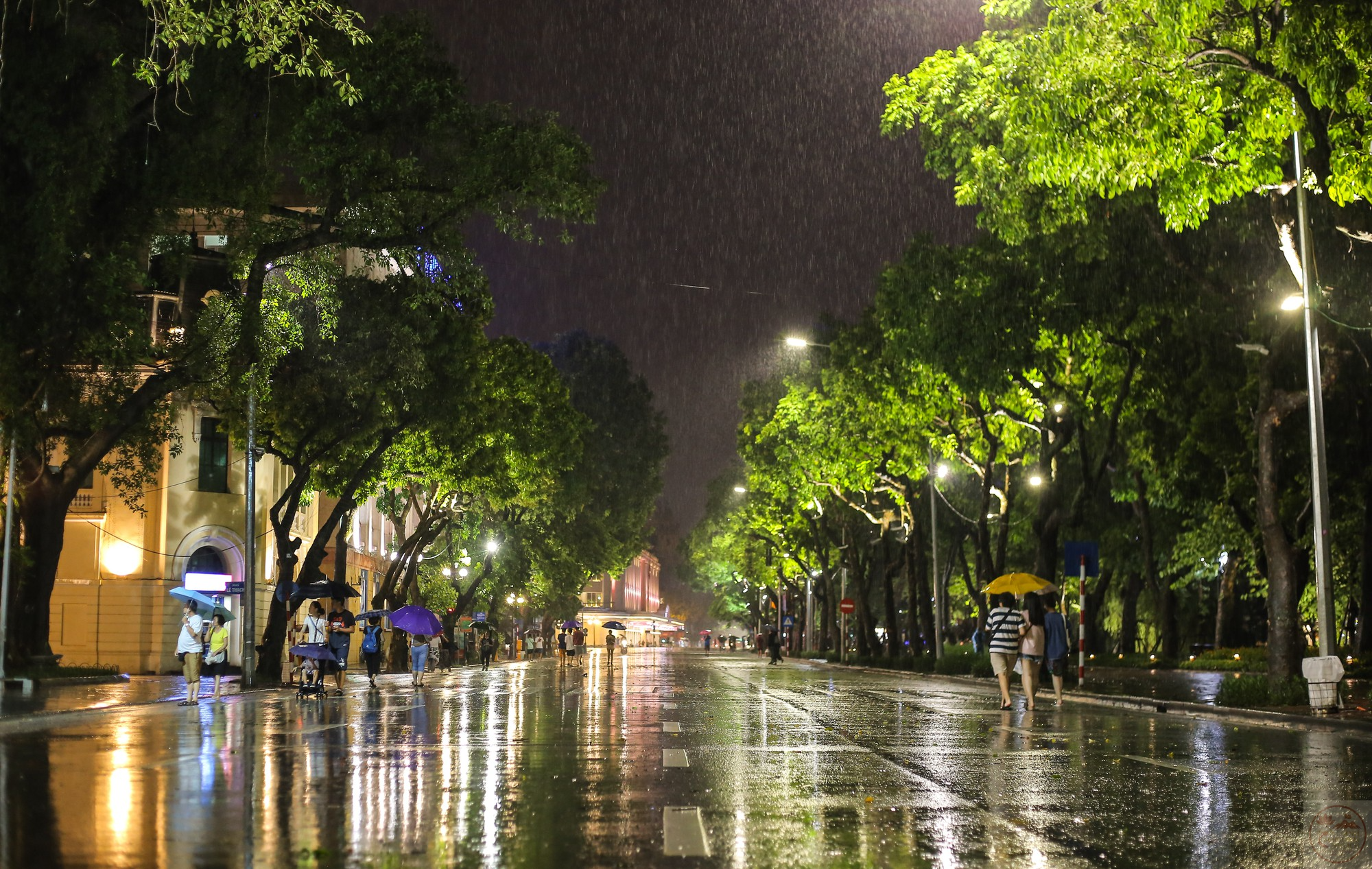 Đêm Hà Nội trong mưa mang vẻ đẹp vừa lắng đọng vừa đầy chất thơ