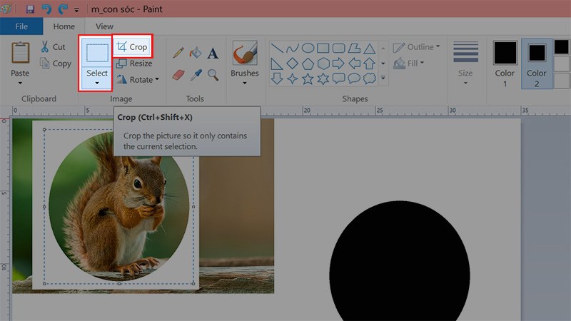Chọn Select > Chọn Crop hoặc nhấn tổ hợp phím Ctrl + Shift + X để cắt ảnh thành hình tròn