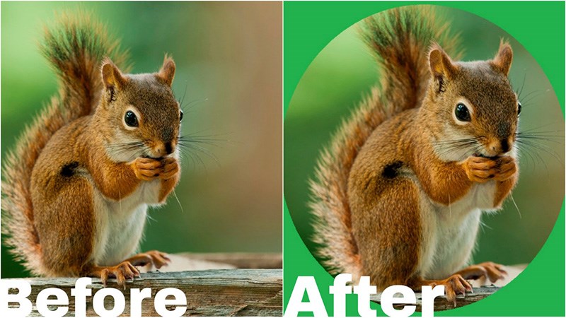 Và đây là kết quả