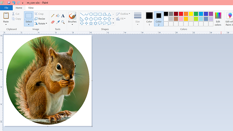 Kết quả sau khi cắt ảnh thành hình tròn